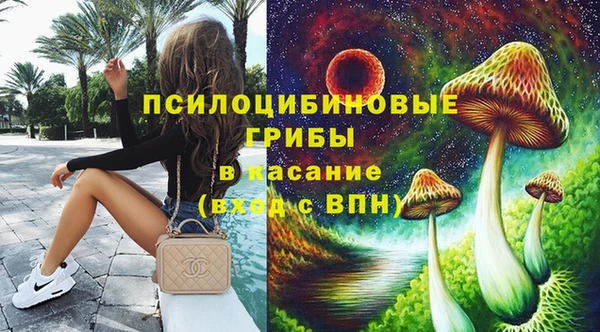 стаф Саяногорск