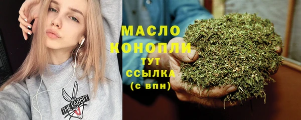 гашик Сатка