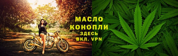 гашик Сатка