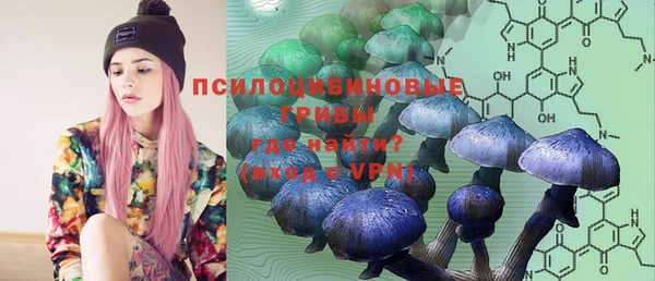гашик Сатка