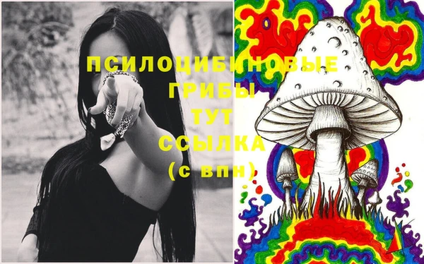 стаф Саяногорск