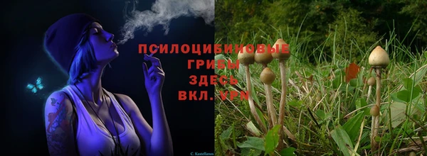 стаф Саяногорск