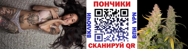 Бошки марихуана семена  что такое   OMG онион  Судогда 